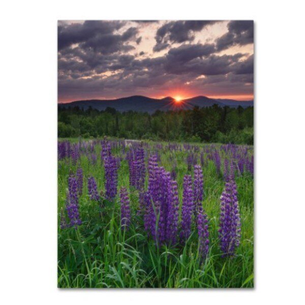 Michael Blanchette Photography 'Moody Sunrise' Canvas Art, 14x19, Trademark Fine Art, Mfr#: ALI3942-C1419GG
